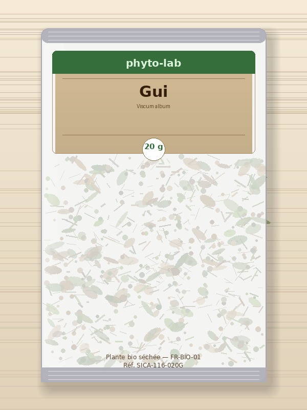 Sachet Gui 20g