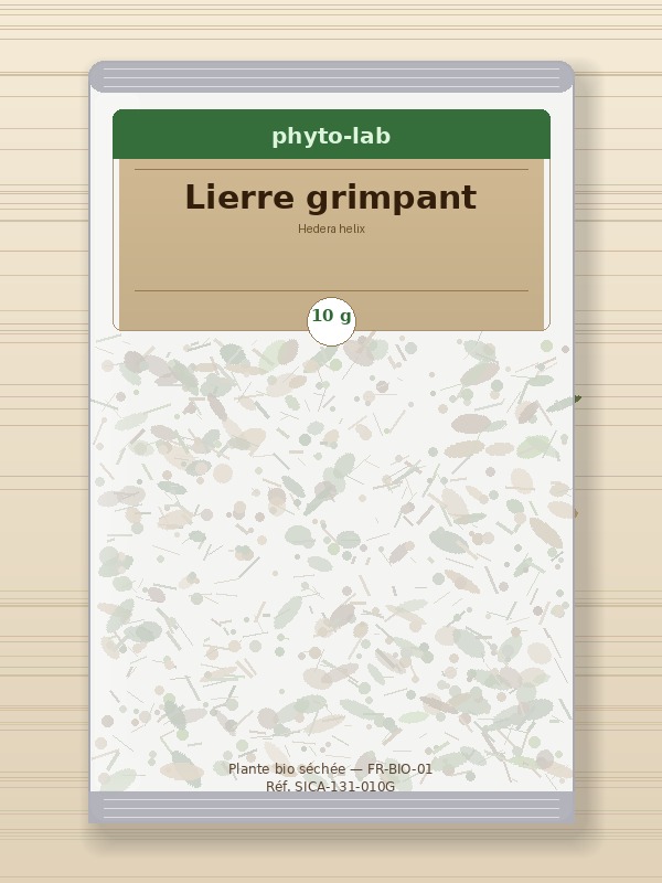 Sachet Lierre grimpant