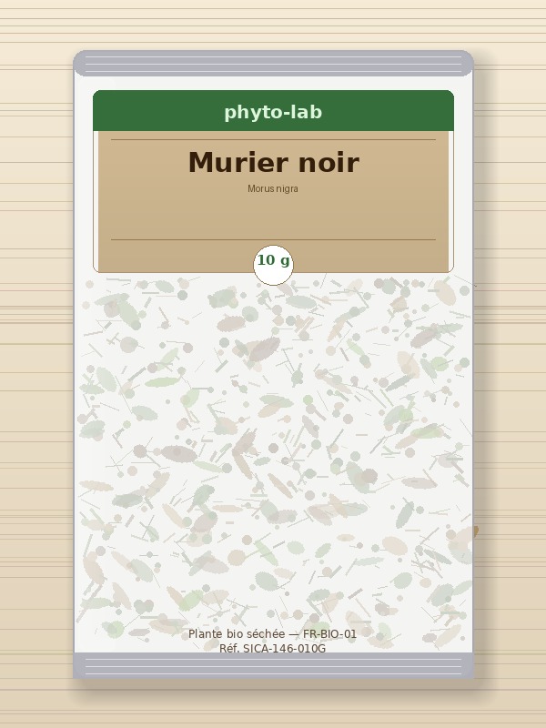 Sachet Murier noir 10g