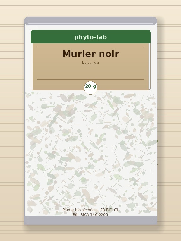 Sachet Murier noir 20g