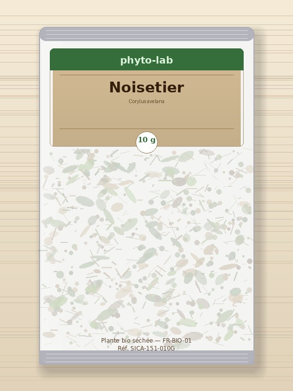Sachet Noisetier