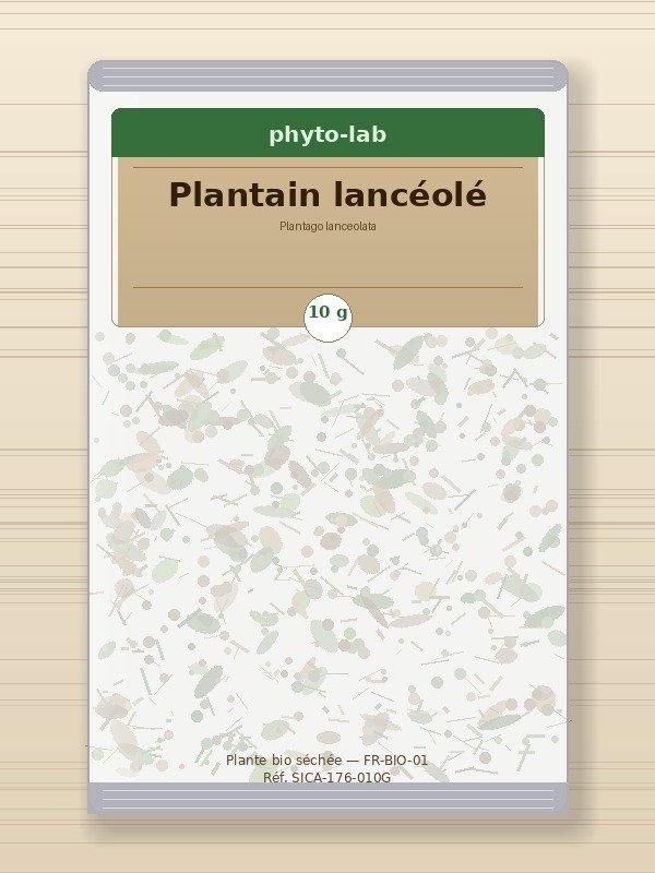 Sachet Plantain lancéolé