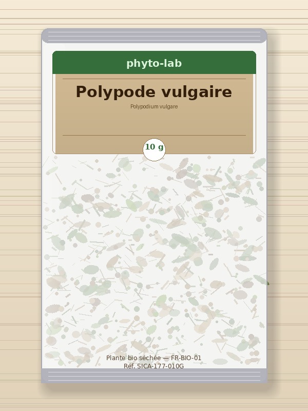 Sachet Polypode vulgaire