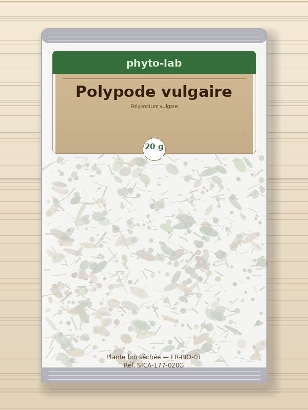 Sachet Polypode vulgaire 20g