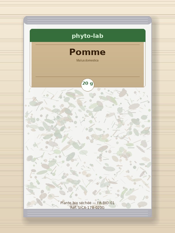 Sachet Pomme 20g