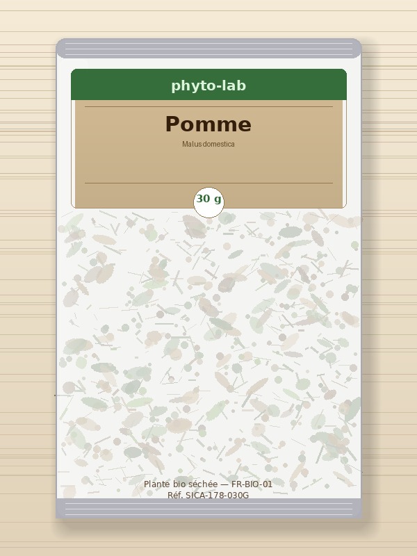 Sachet Pomme 30g