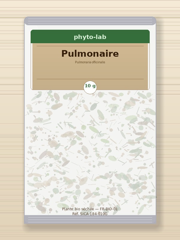 Sachet Pulmonaire