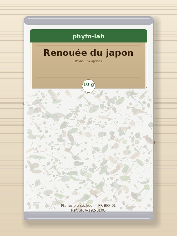 Sachet Renouée du japon