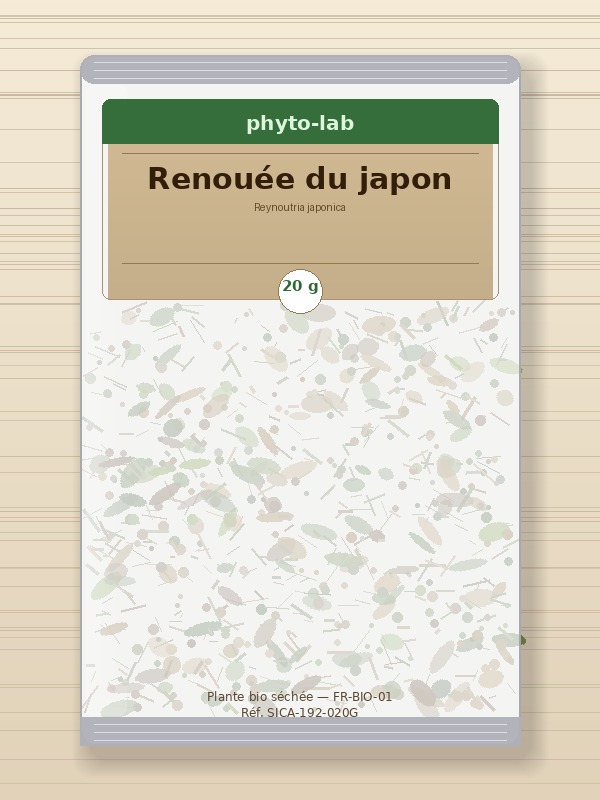 Sachet Renouée du japon 20g