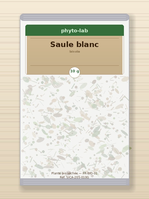 Sachet Saule blanc