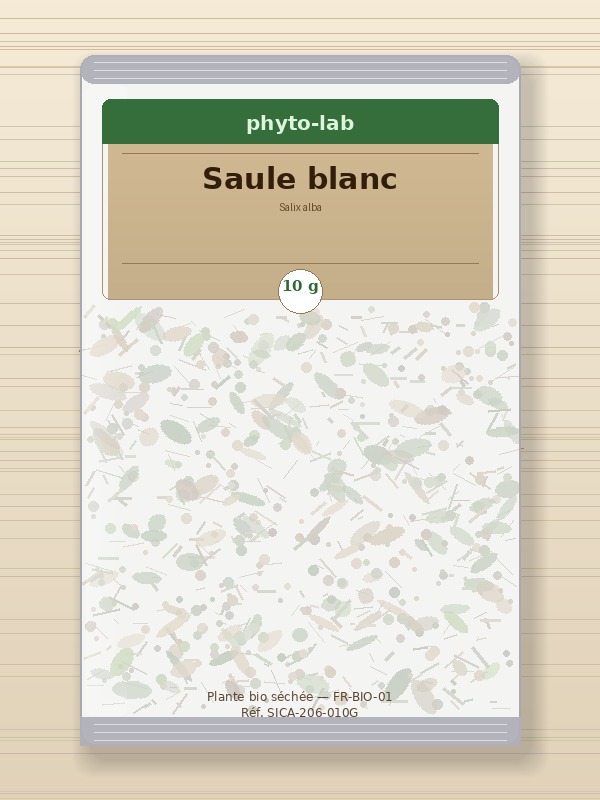 Sachet Saule blanc
