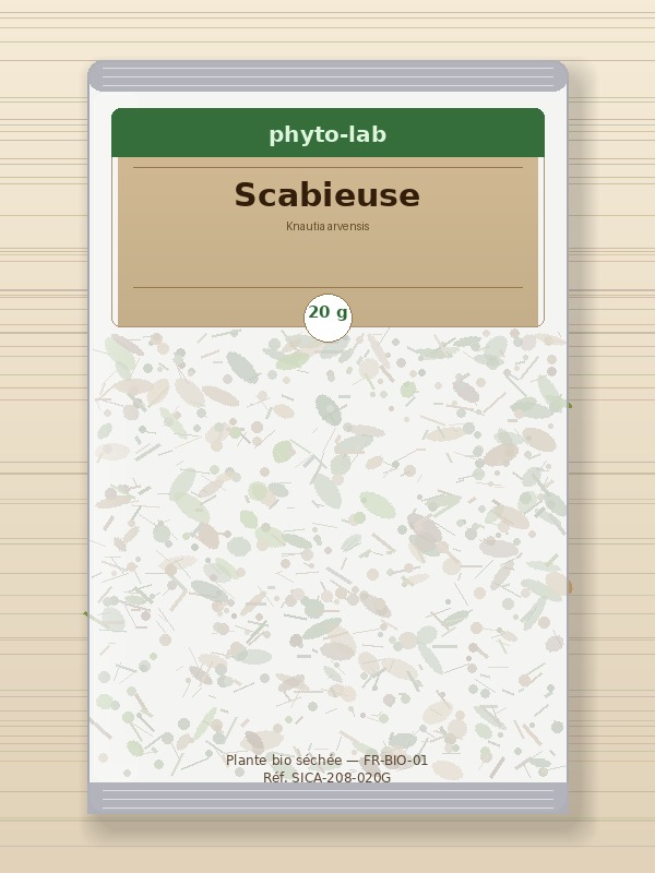 Sachet Scabieuse 20g