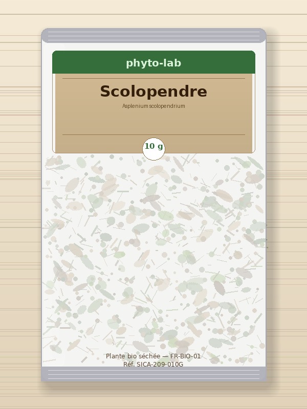 Sachet Scolopendre