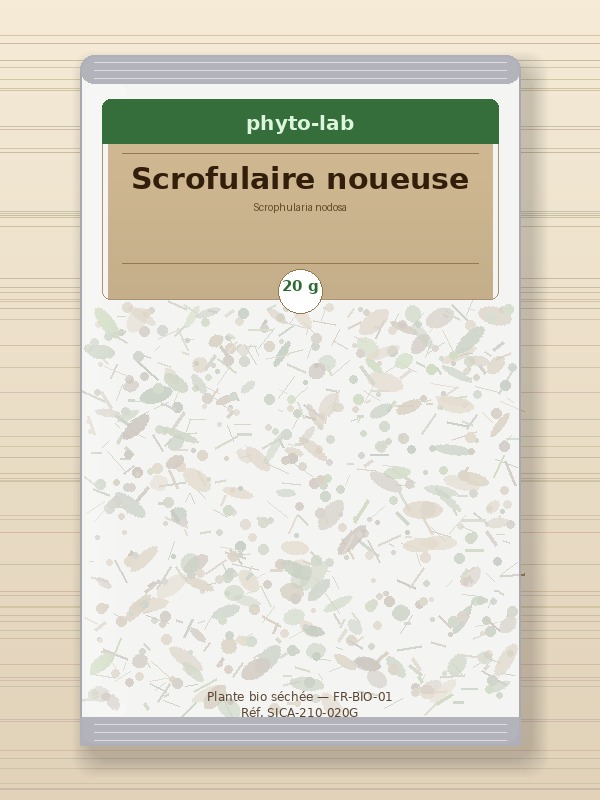 Sachet Scrofulaire noueuse 20g