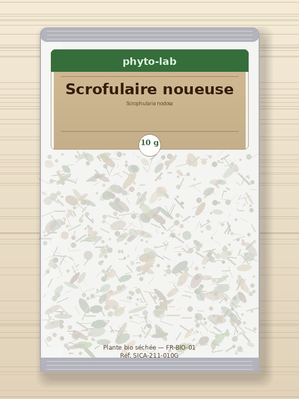 Sachet Scrofulaire noueuse