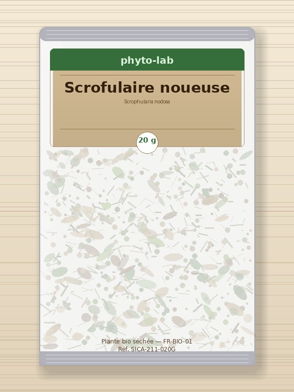 Sachet Scrofulaire noueuse 20g