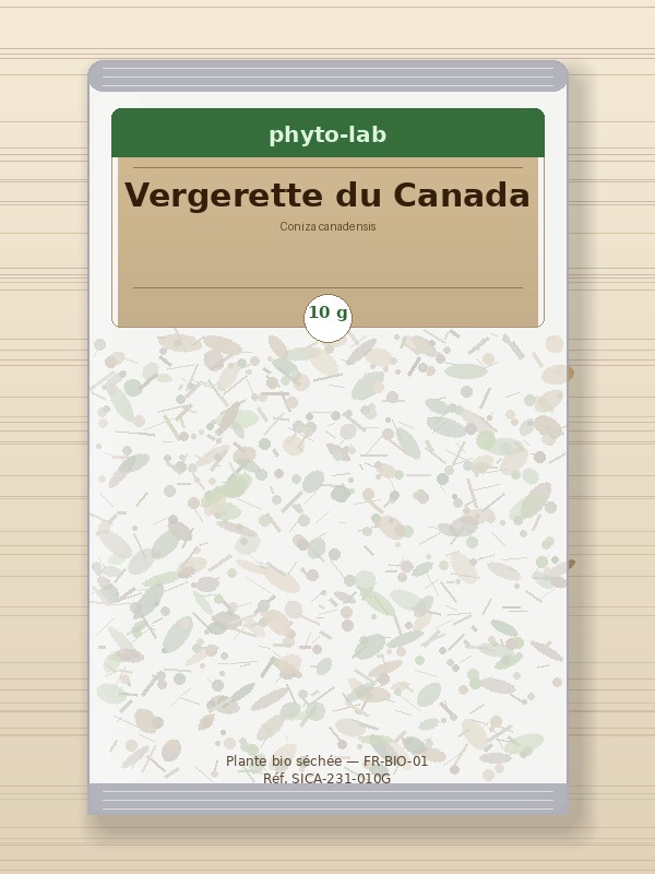 Sachet Vergerette du Canada