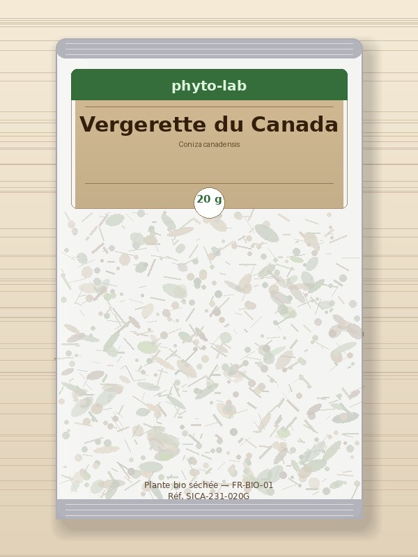 Sachet Vergerette du Canada 20g