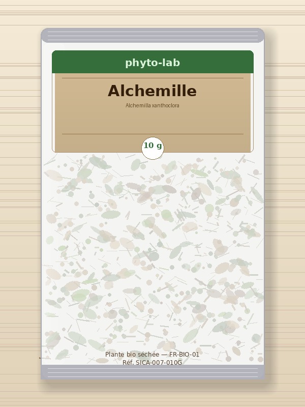Alchemille