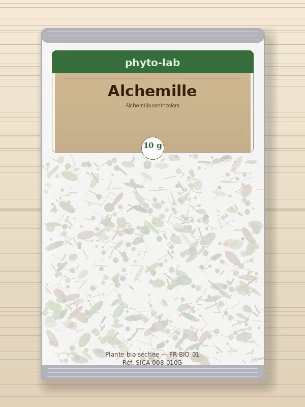 Alchemille