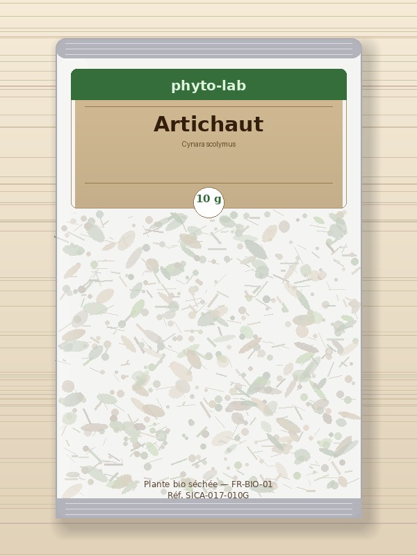 Sachet Artichaut
