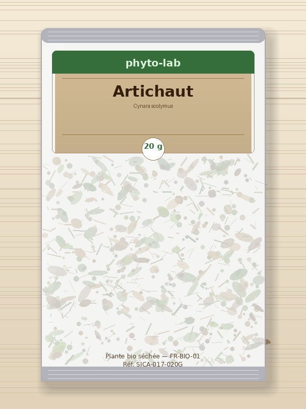 Sachet Artichaut 20g