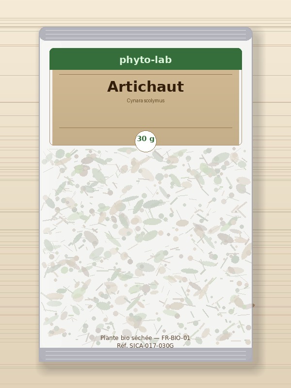 Sachet Artichaut 30g