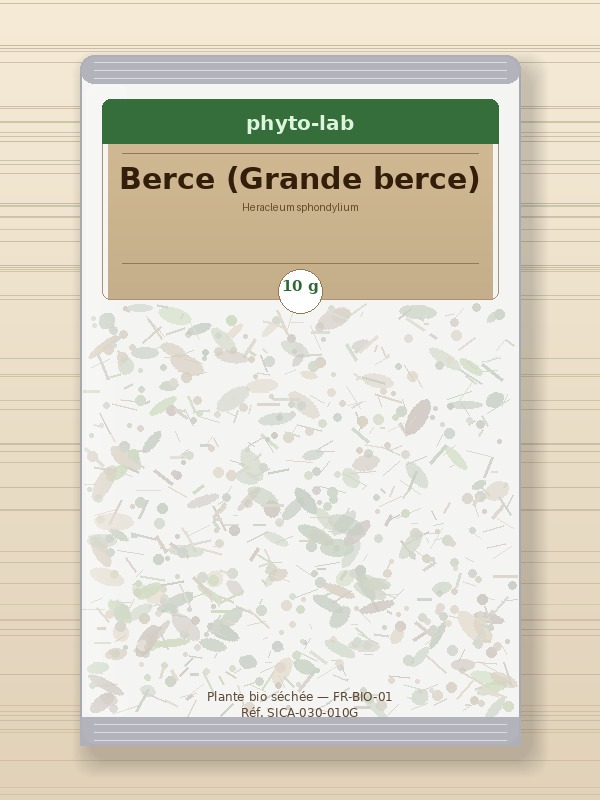 Sachet Berce (Grande berce)