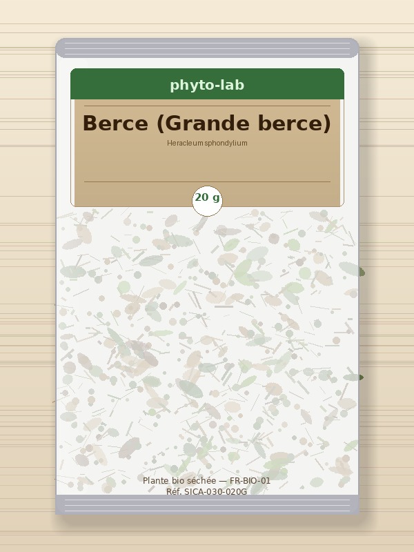 Sachet Berce (Grande berce) 20g