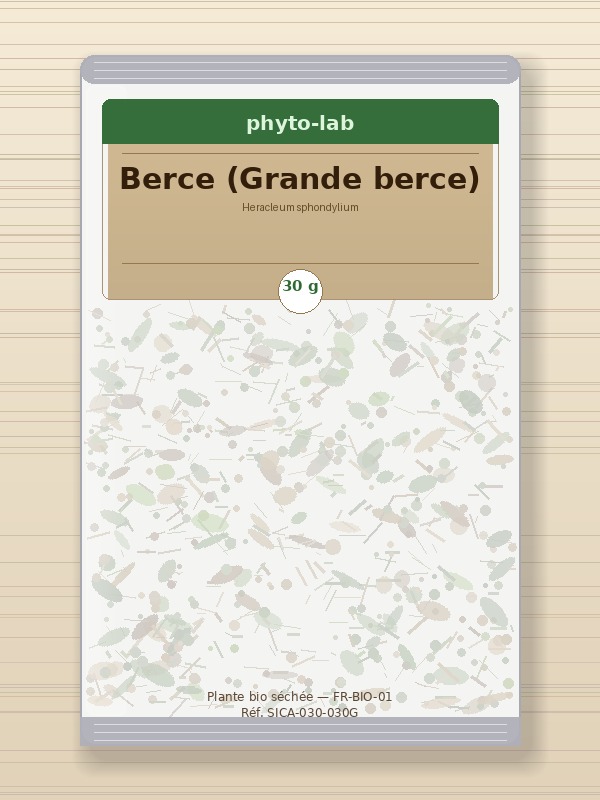 Sachet Berce (Grande berce) 30g
