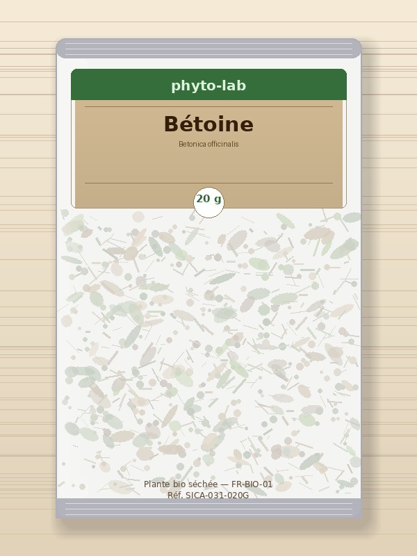 Sachet Bétoine 20g