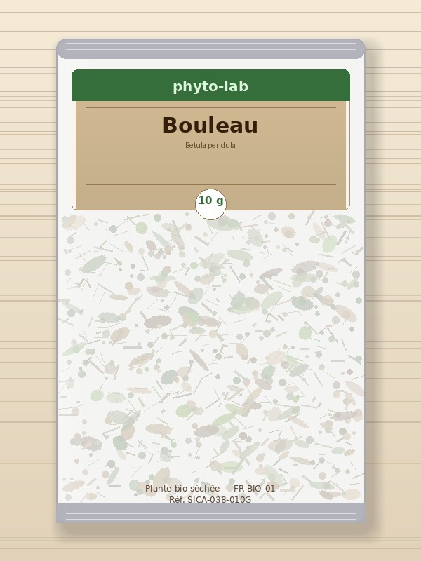 Sachet Bouleau