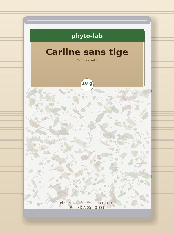Sachet Carline sans tige