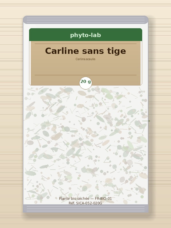 Sachet Carline sans tige 20g