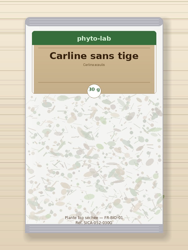 Sachet Carline sans tige 30g