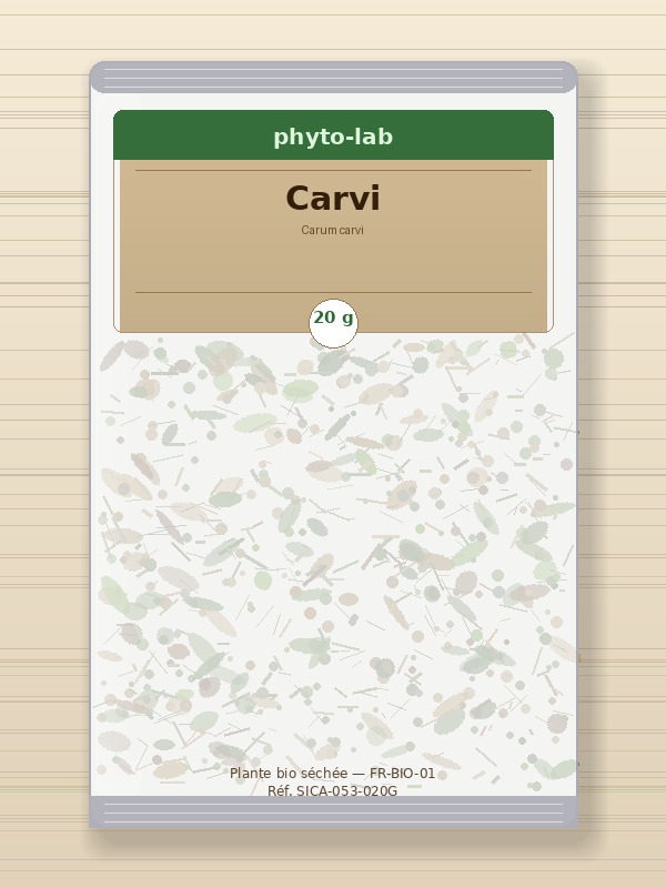 Sachet Carvi 20g