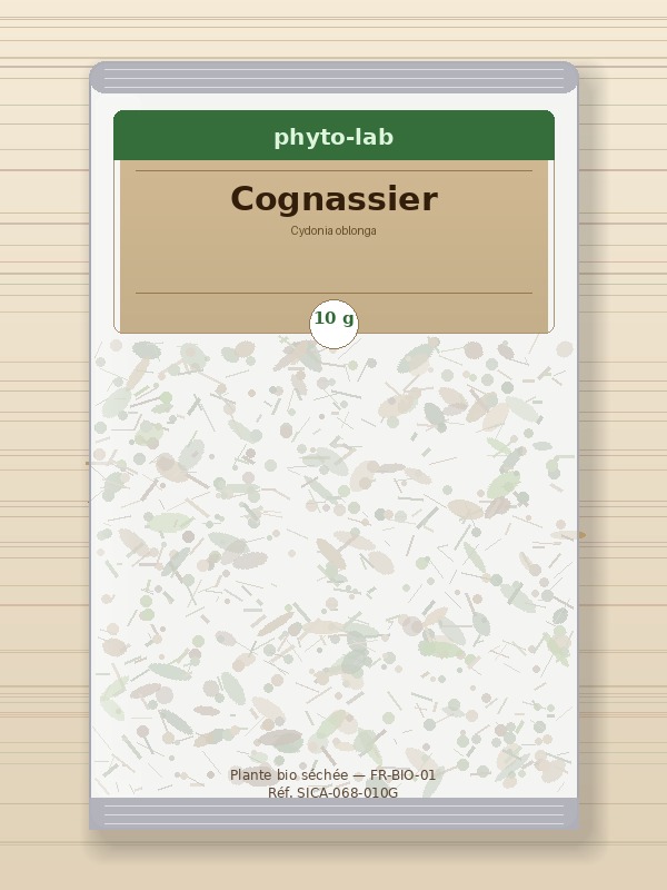 Sachet Cognassier