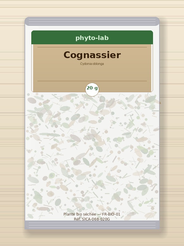Sachet Cognassier 20g