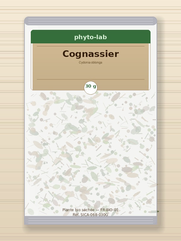 Sachet Cognassier 30g