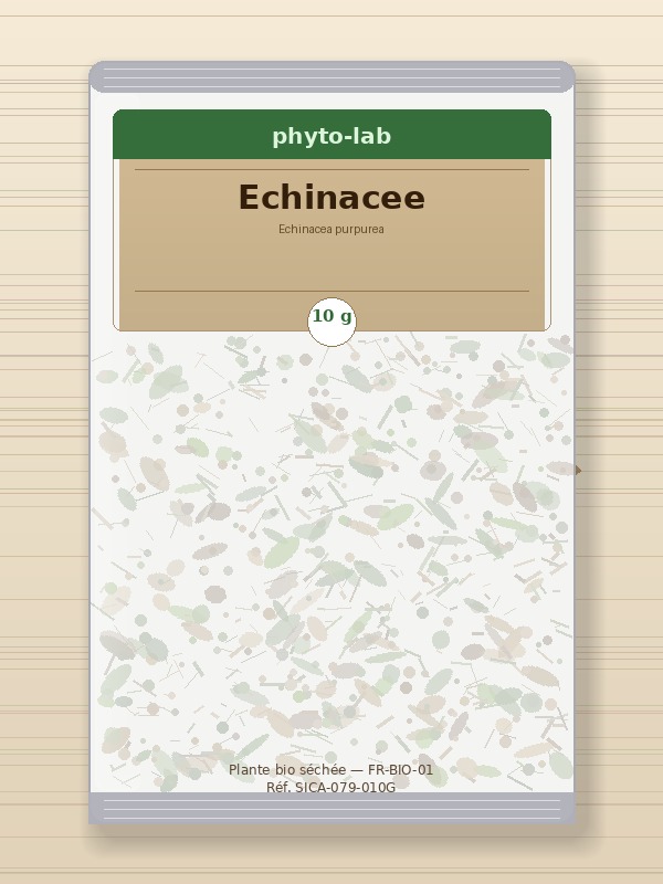 Sachet Echinacee