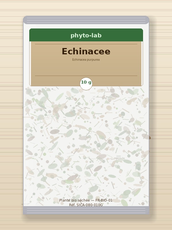 Sachet Echinacee