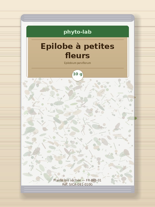Sachet Epilobe à petites fleurs