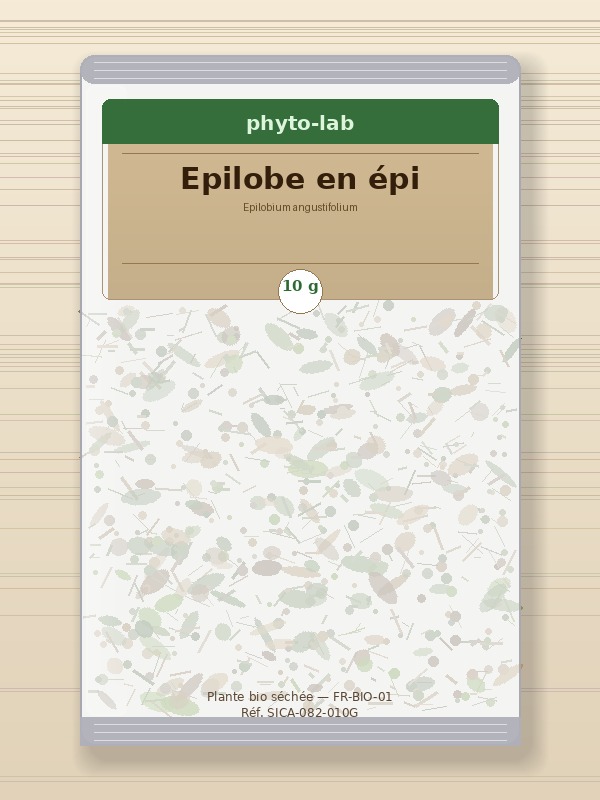 Sachet Epilobe en épi