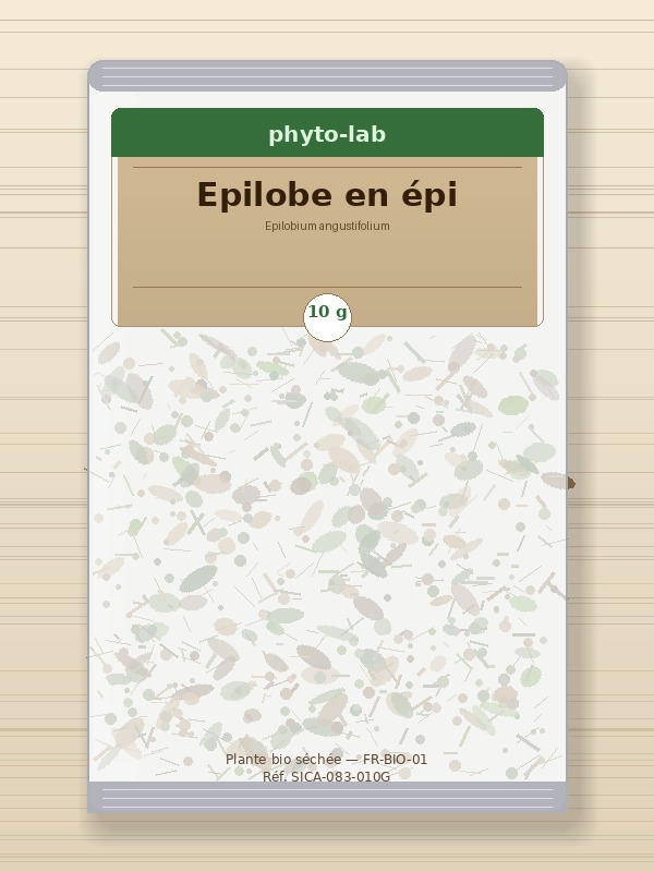Sachet Epilobe en épi