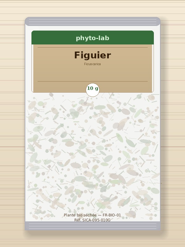 Sachet Figuier 10g
