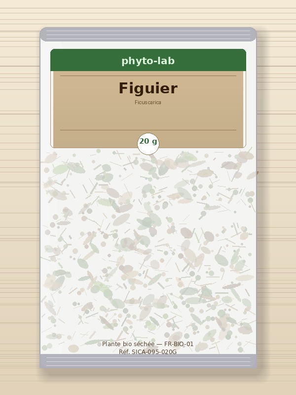 Sachet Figuier 20g
