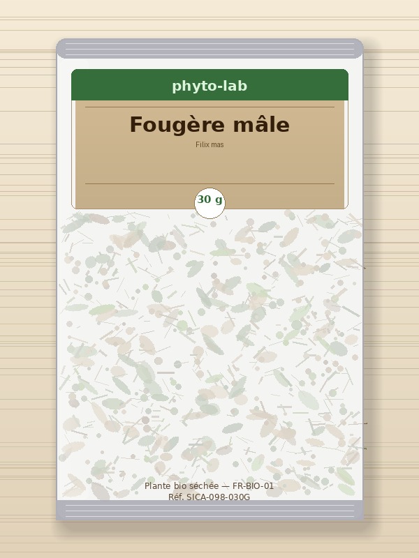 Sachet Fougère mâle 30g