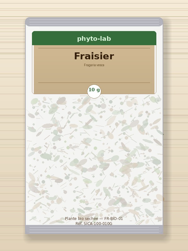 Sachet Fraisier
