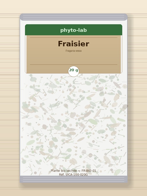 Sachet Fraisier 20g