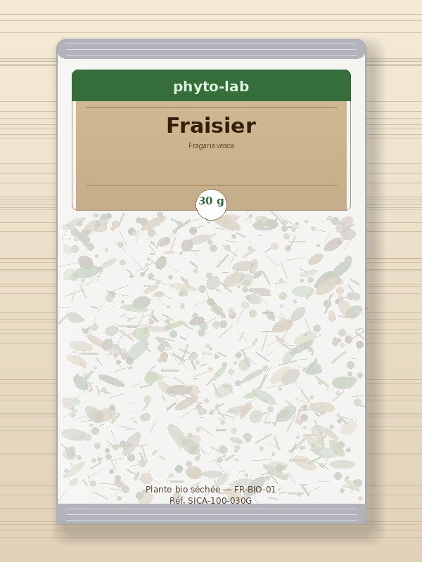 Sachet Fraisier 30g